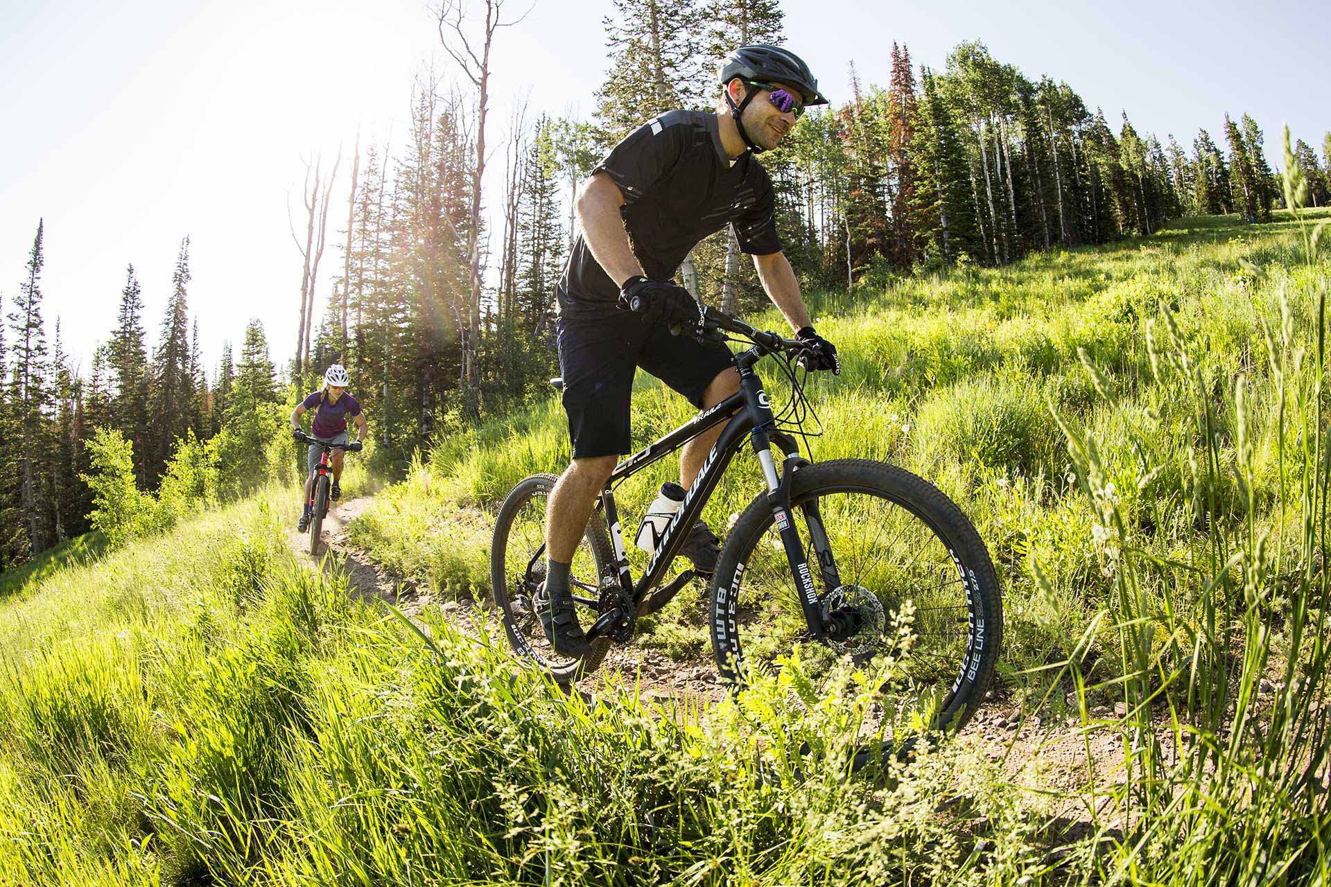 cannondale trail 6 2018